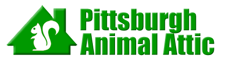 Pittsburgh
 Animal Attic